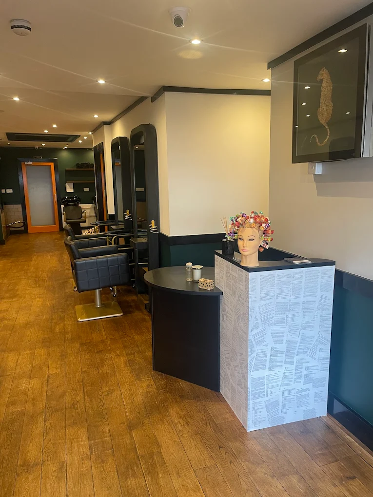 Roots Salon interior or styling image 6